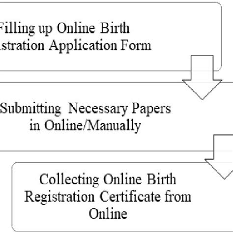 online birth registration information system.